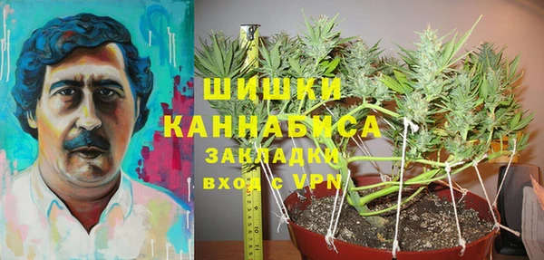 дживик Верея