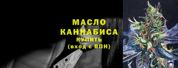 МДПВ Ельня