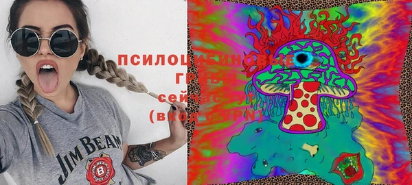 мдма Елизово