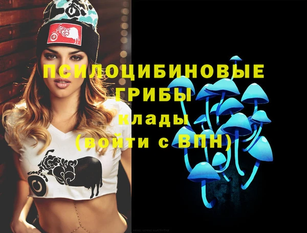 дживик Верея